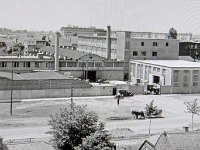 Tvornica Ventilator, Radnička 32 1954. godine
